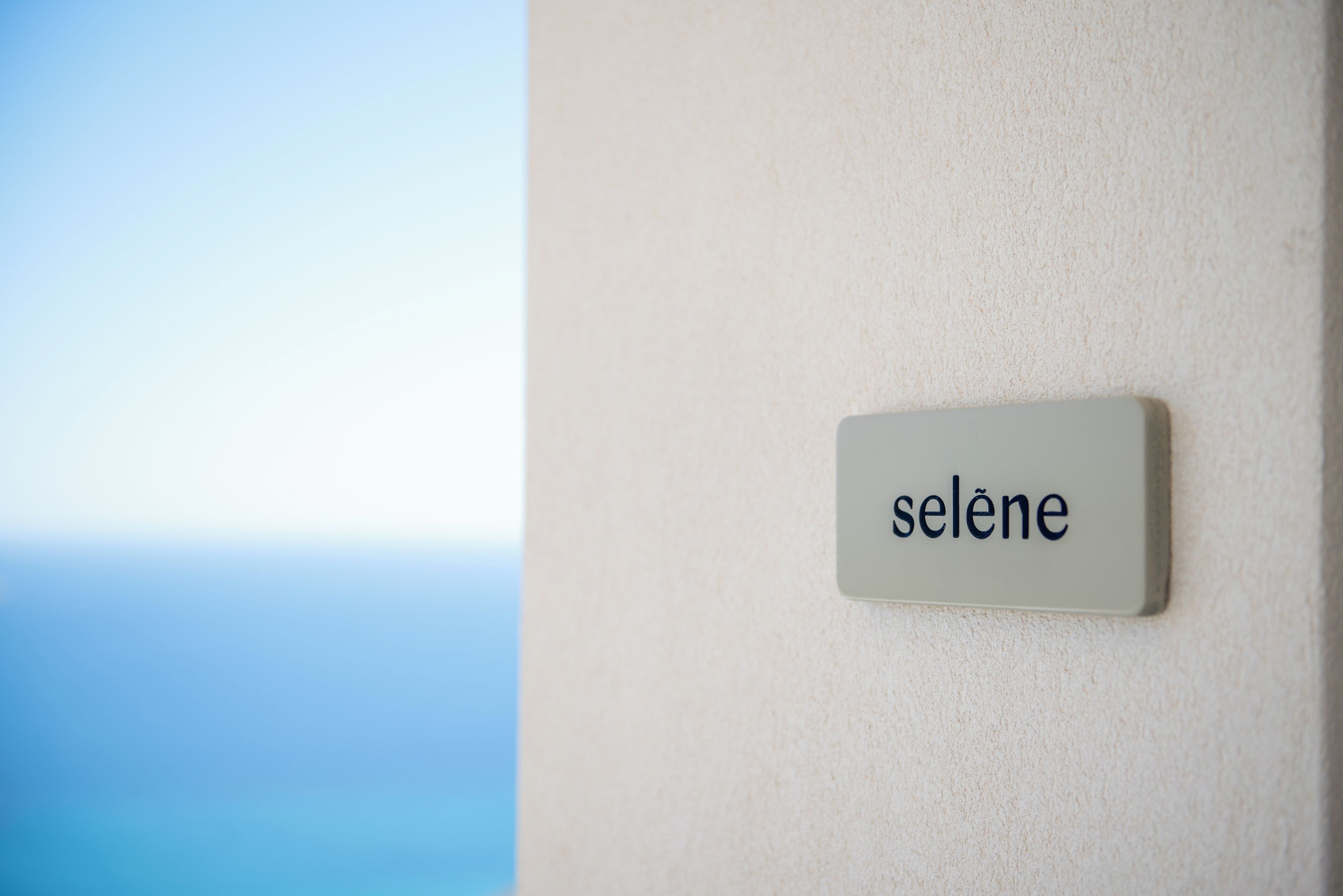 A sign with the word "selene" on a wall.