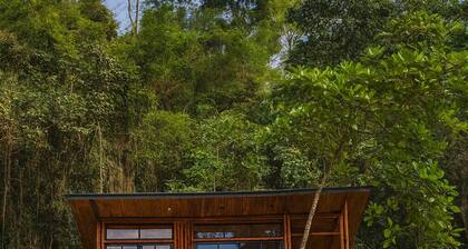 Cabin in native forest, waterfalls, hanging bridge, flora and fauna.