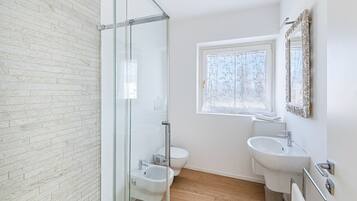 Shower, hair dryer, bidet, towels