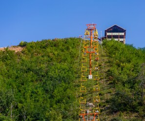 Miscellaneous - Spirit Bear – Cabin on 4 Private Acres | Hot Tub, Game Room, Lake | Sleeps 7 (Sevierville)
