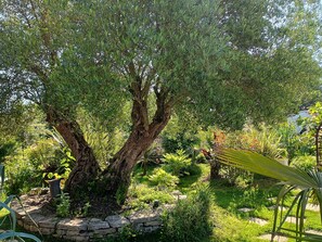 Property grounds - Large family gite near puy du fou (saint germain de princay)