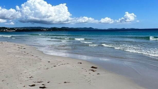 Beach - La Rose Bleue - Your renovated cocoon a stone's throw from Le Diamant beach (Le Diamant)