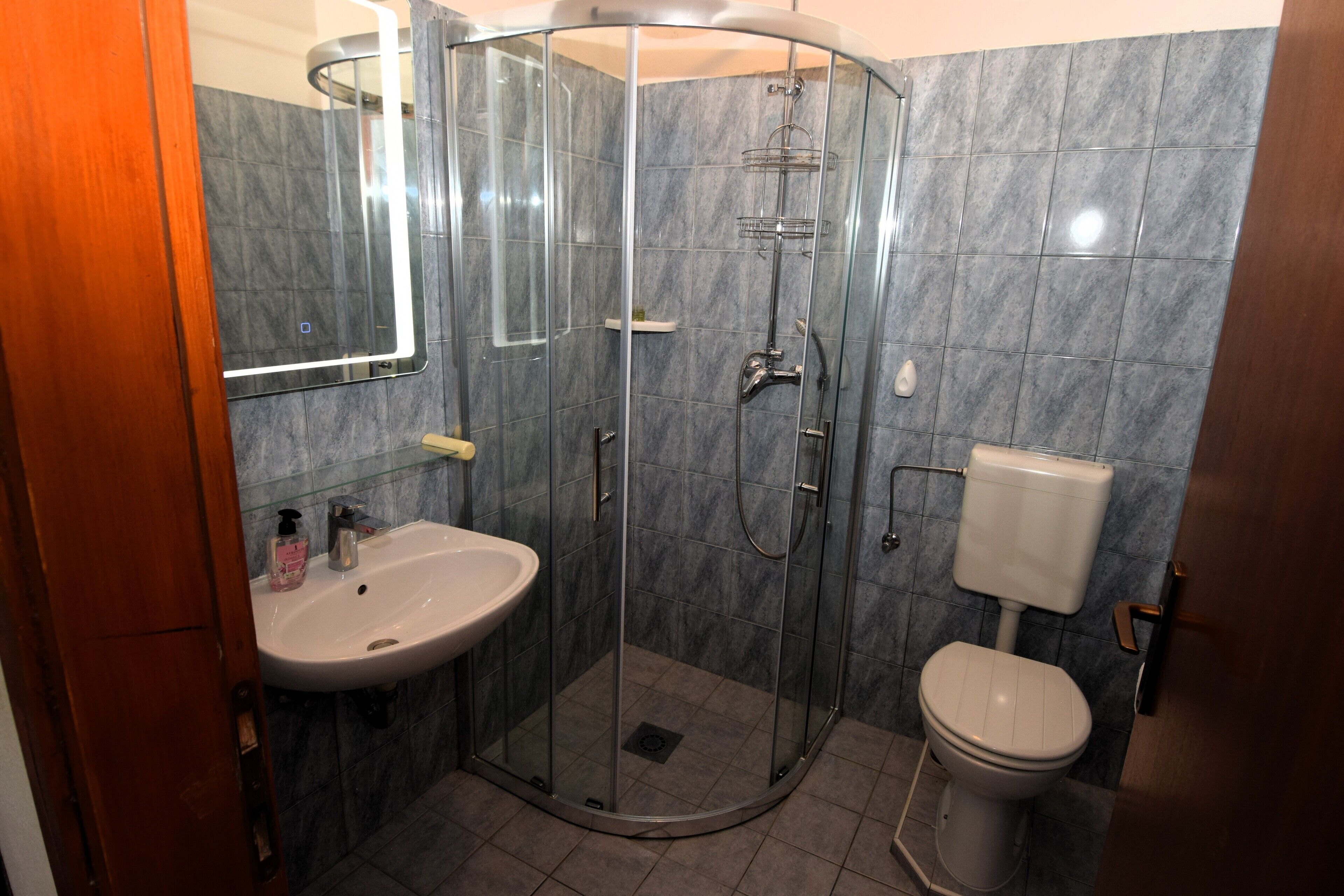 Shower, hair dryer, soap, toilet paper