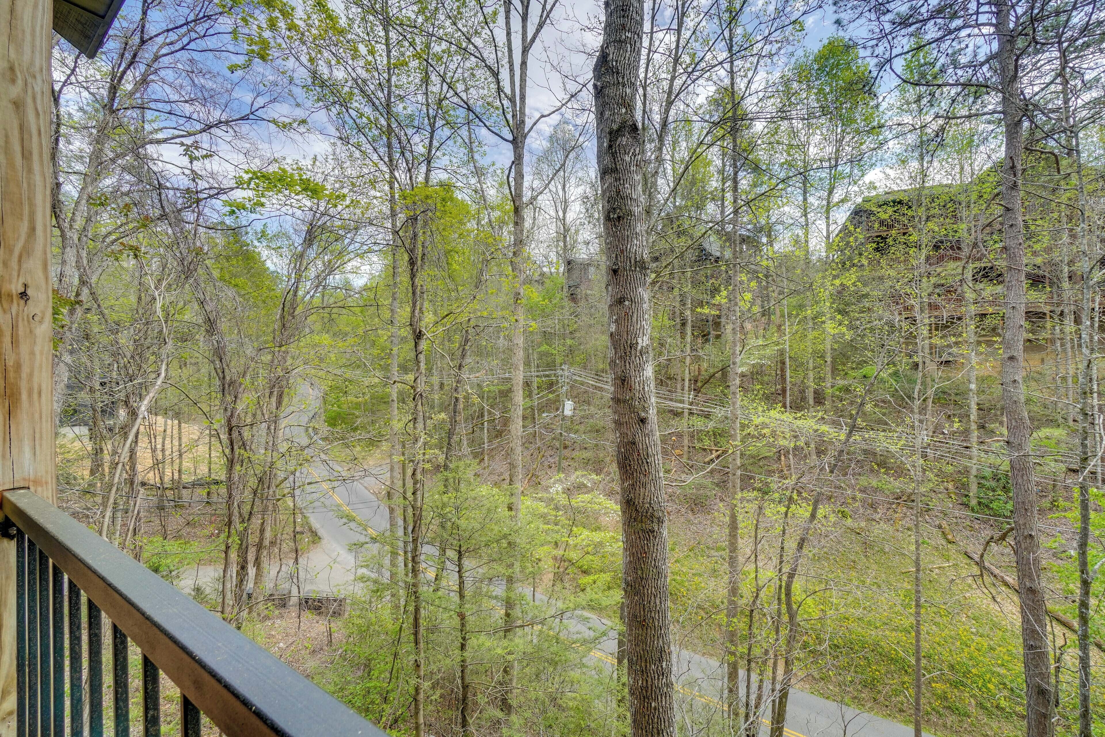A forested area with a road and a building in the background.