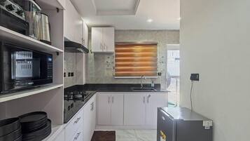 Family Apartment, Balcony, City View | Private kitchen | Fridge, microwave, oven, stovetop