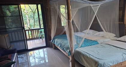Room-hill Tribe Art House