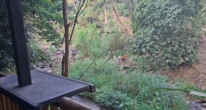 Room-hill Tribe Art House