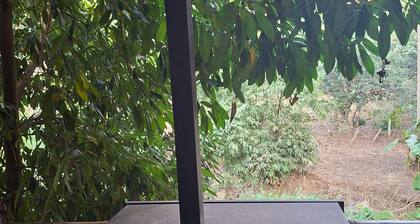 Room-hill Tribe Art House