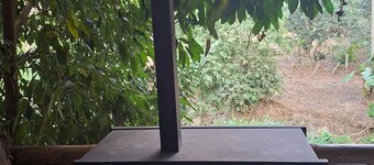 Room-hill Tribe Art House