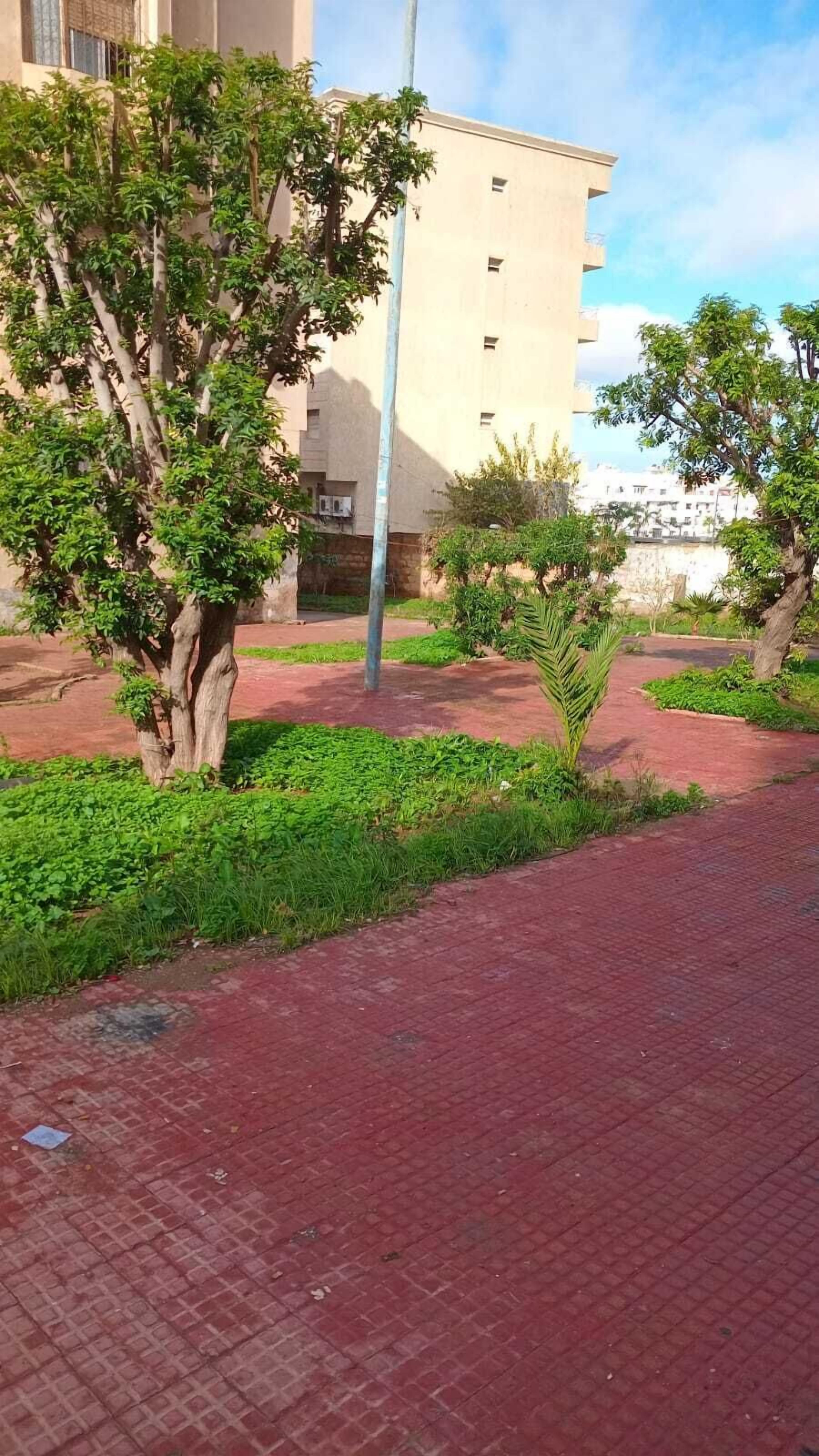 إطلالة على الحديقة