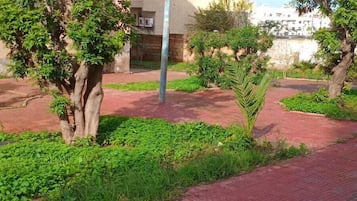 Comfort Single Room | Garden view