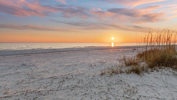 Beach - Beach House - Magical Purple Haze (Mexico Beach)