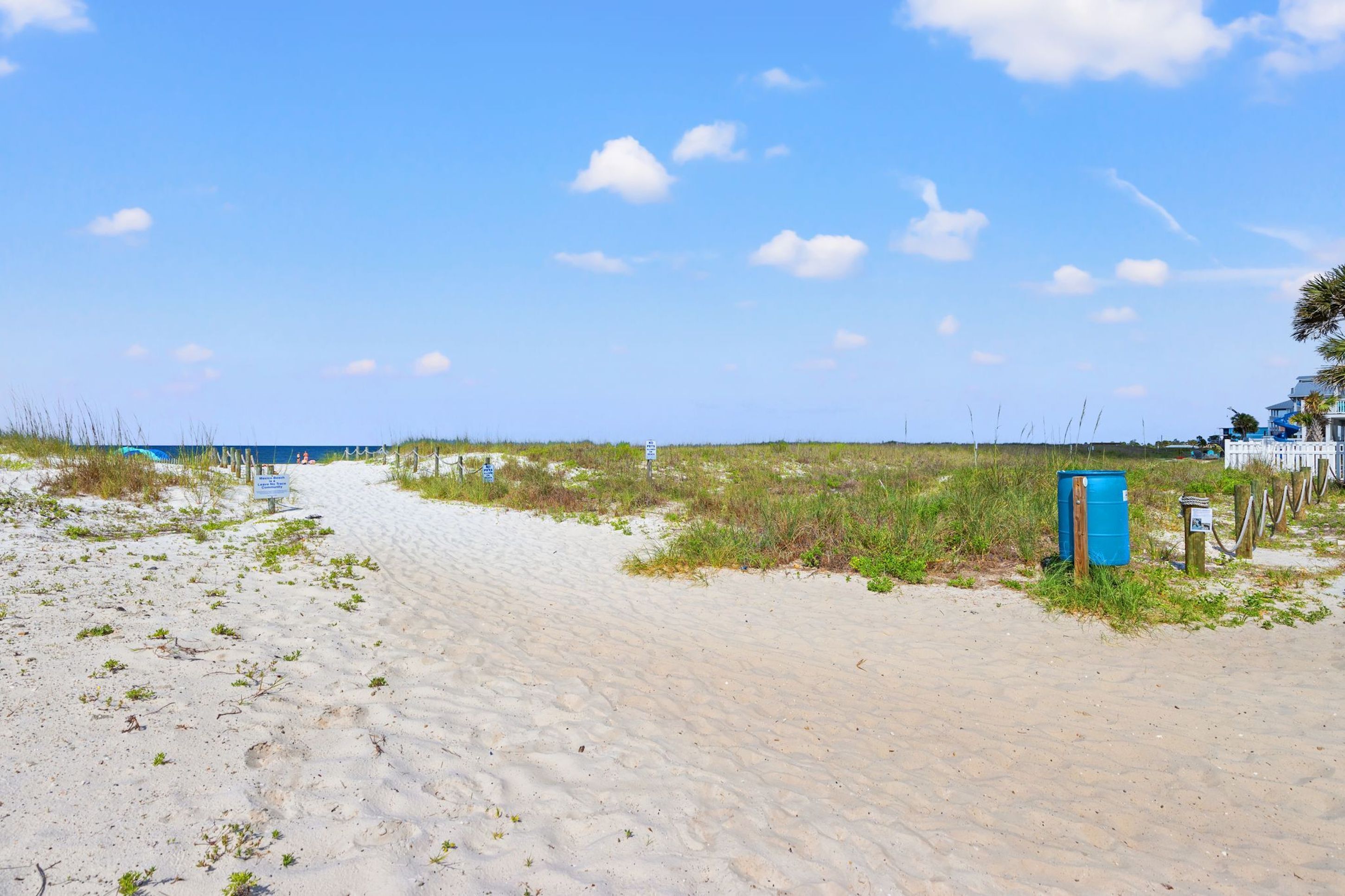 靠近海滩、白沙