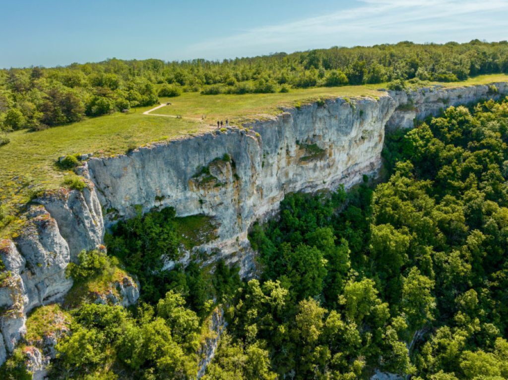 A cliffside with a grassy area and dense forest.