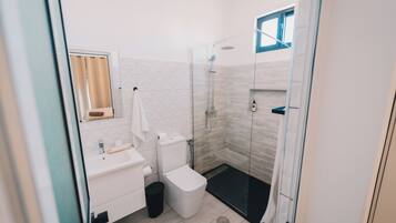 A modern bathroom with a glass shower enclosure, a white sink, and a toilet.