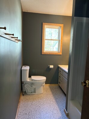 Hair dryer, towels, soap, shampoo - Charming Cabin with Sandy and Shallow Shore, Perfect for Family Fun (Detroit Lakes)