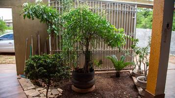 A garden with various potted plants and a metal gate in the background.