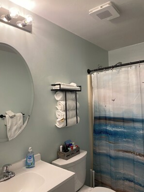 Hair dryer, towels, soap, shampoo