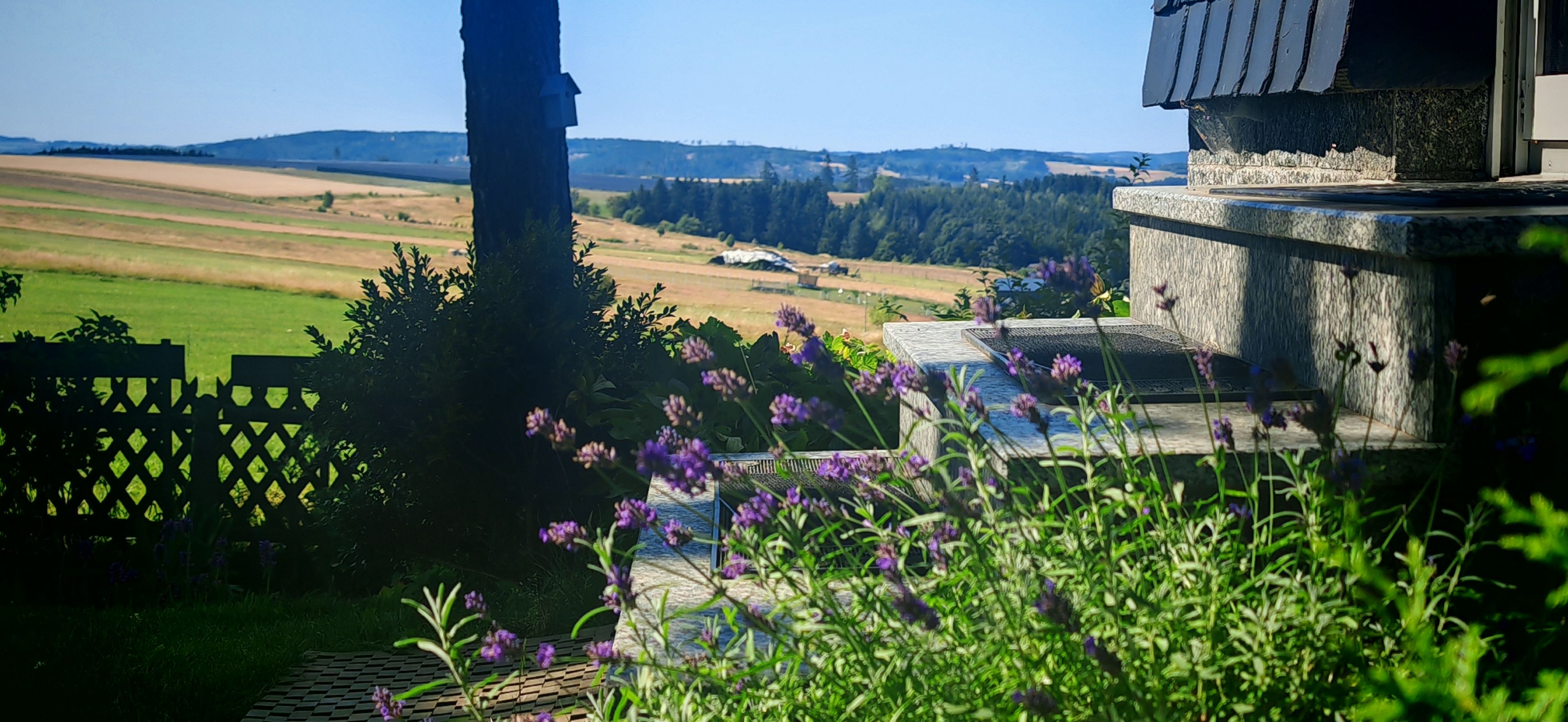 A garden with a view of fields and distant hills.