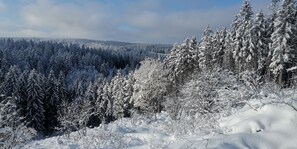 A snowy forest landscape with dense evergreen trees and a clear sky. - Ferienhaus Villa Zauberblick am Rennsteig Frankenwald. Pets welcome! (Ludwigsstadt)