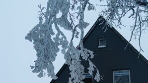 Eksteriør