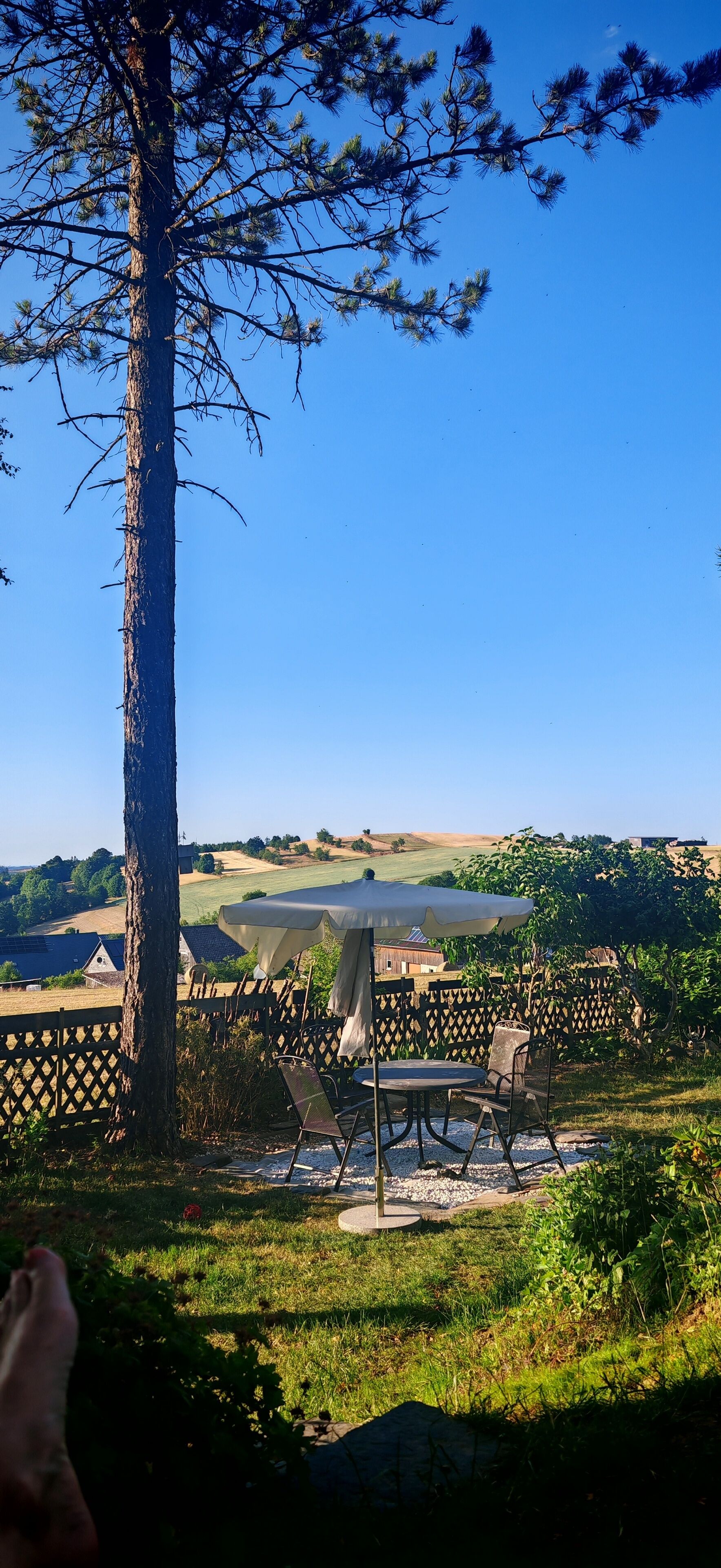 Un patio con una mesa y sillas, un árbol y vistas a un paisaje rural.