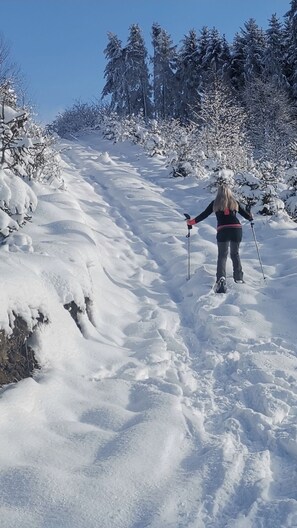 A person cross-country skiing on a snow-covered trail with trees on both sides. - Ferienhaus Villa Zauberblick am Rennsteig Frankenwald. Pets welcome! (Ludwigsstadt)