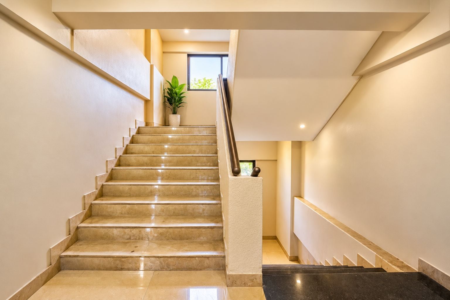 A staircase with a handrail, a potted plant, and a window at the top.