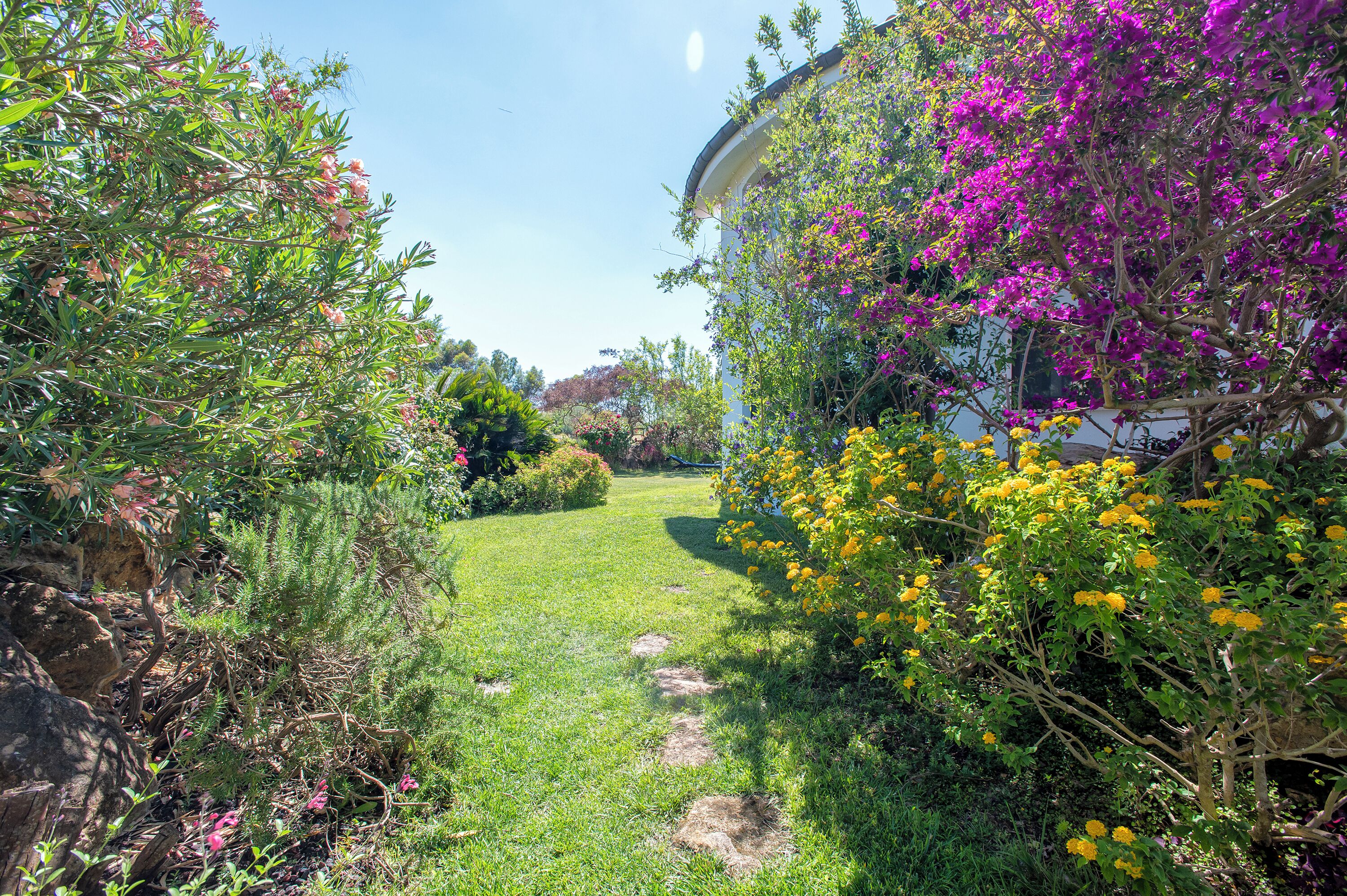 Un chemin de jardin menant à un bâtiment doté d’un toit incurvé, entouré de diverses plantes à fleurs et de verdure.