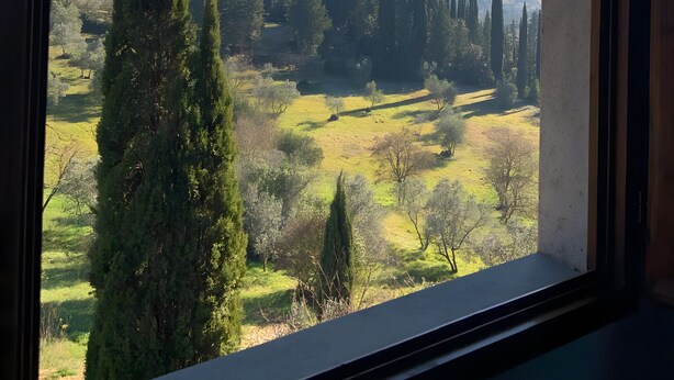 Blick durch ein Fenster auf eine Landschaft mit Bäumen und fernen Hügeln.