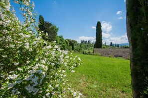 Property grounds - Holiday Home 'Arco' with Shared Pool, Wi-Fi and Air Conditioning (Bagno a Ripoli)