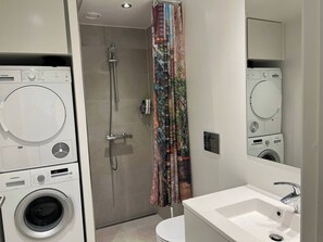 Apartment, 1 Bedroom, Accessible, Balcony | Laundry