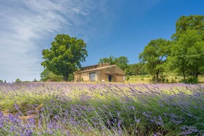 Exterior - Domaine L'essentiel de Lavande (La Bégude-de-Mazenc)