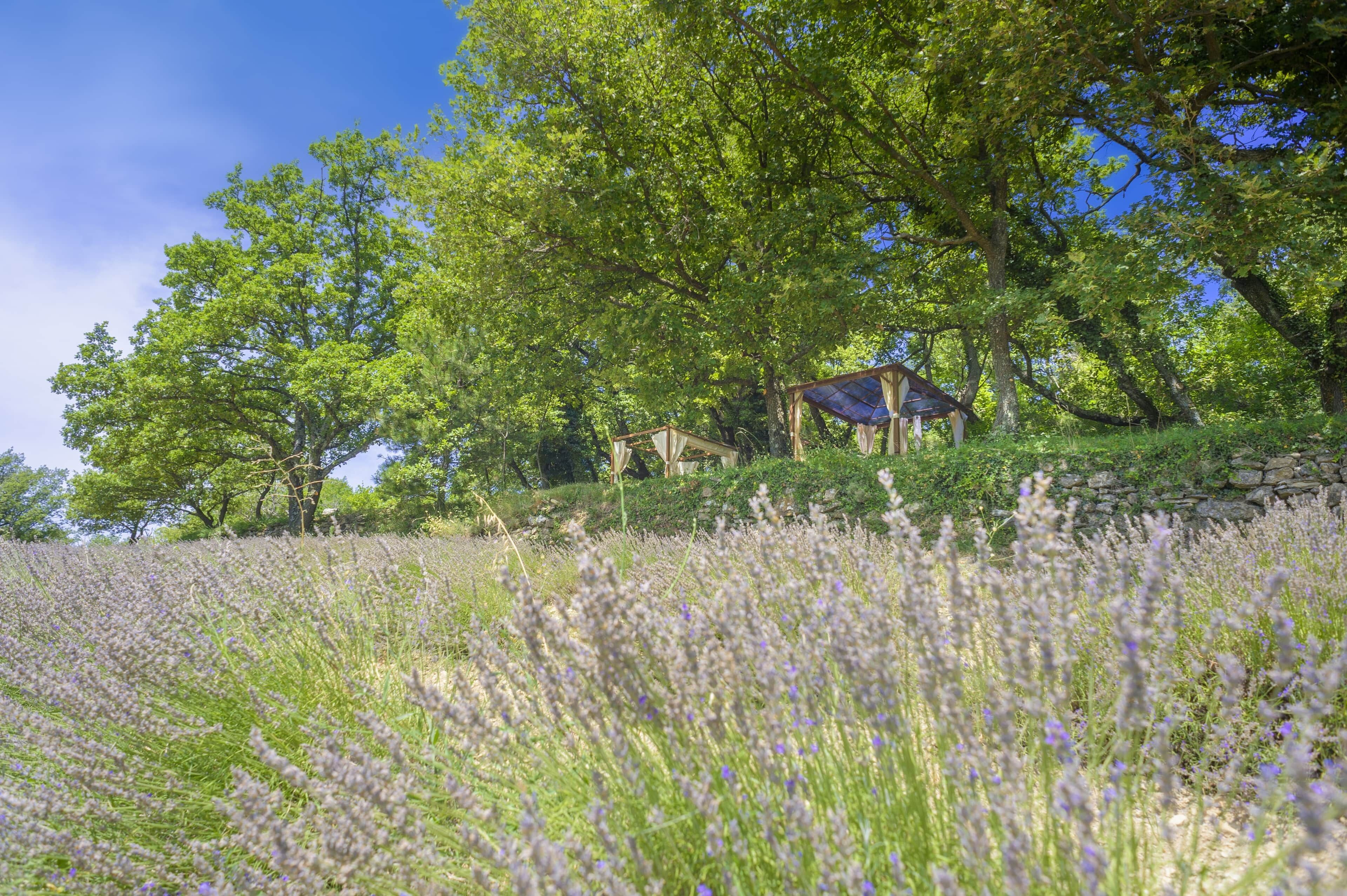Jardines del alojamiento