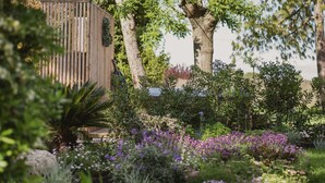 Un jardín con un árbol grande, diversas plantas y una estructura de madera.