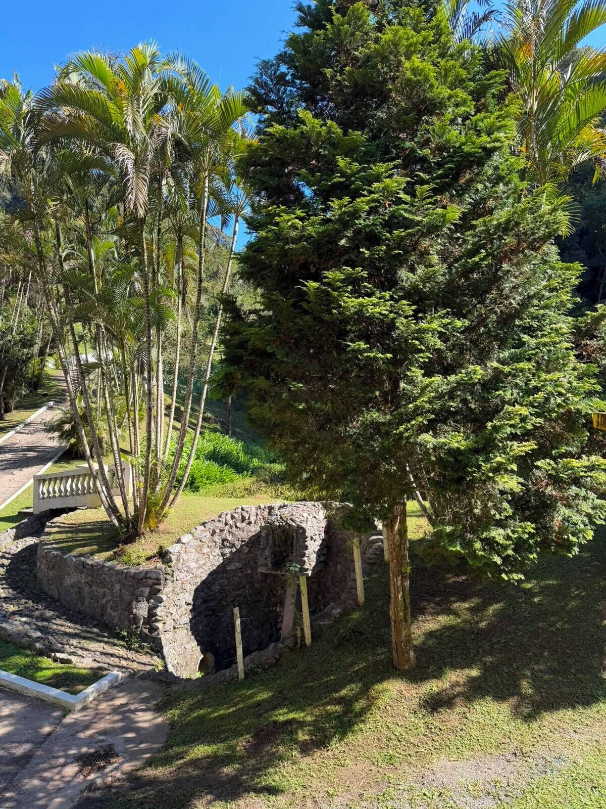 Una estructura de piedra con un sendero que la conduce, rodeada de vegetación exuberante y árboles.
