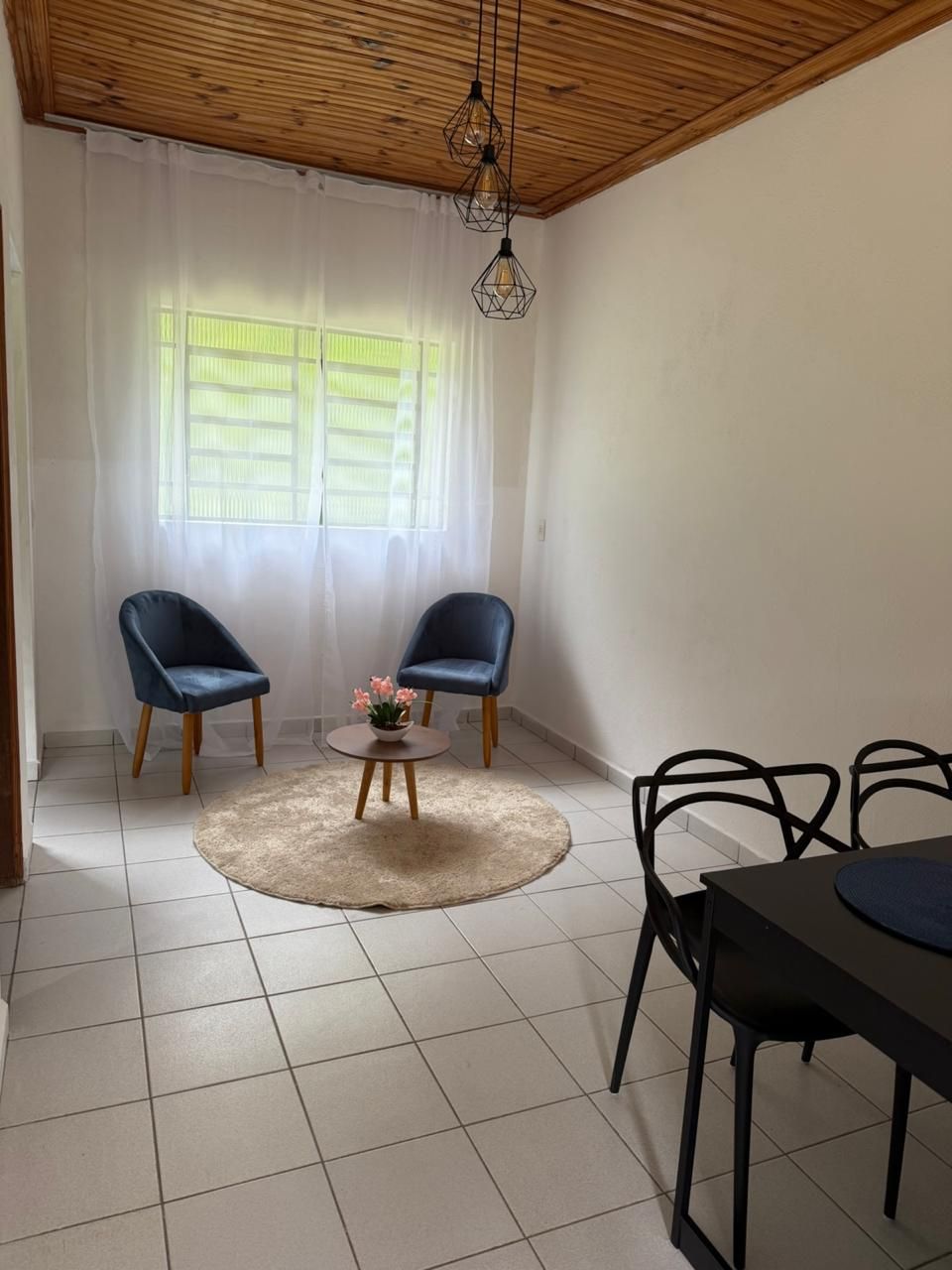 Una habitación con dos sillas azules, una mesita redonda con una planta en maceta y una mesa de comedor con sillas.