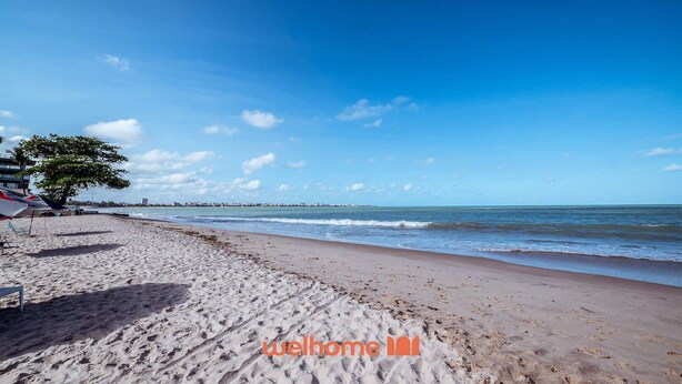 A beach with clear skies, a tree, and a pier in the distance. - Apartamento 350m da Praia do Bessa em Joao Pessoa (João Pessoa)