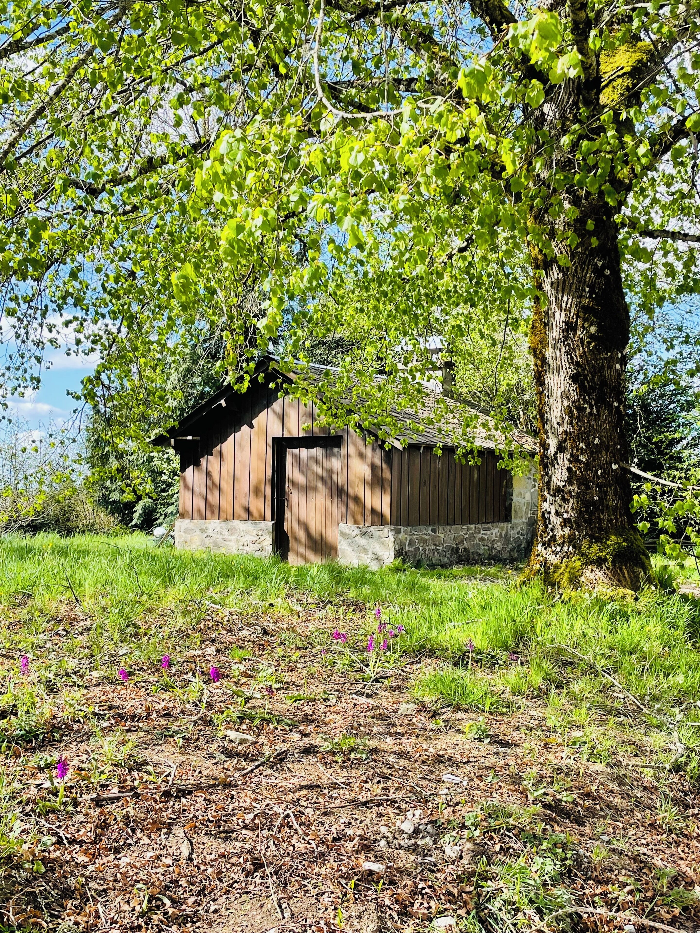 Une cabane en bois rustique, posée sur des fondations en pierre, entourée d’une végétation luxuriante et sous un ciel dégagé.