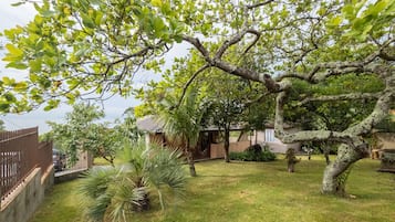 Apartamento básico | Área da propriedade