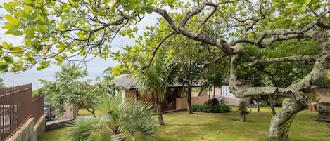 ベーシック アパートメント | 施設の敷地