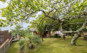 En bostadsträdgård med ett stort träd, en palm och ett hus i bakgrunden.