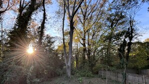 A backyard with a wooden fence, trees, and a grassy area. - 2 Bedroom Apt in Downtown ATL, Steps from Beltline (Atlanta)