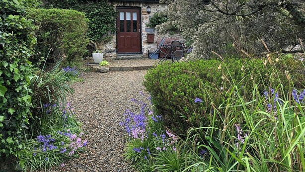 A stone cottage with a gravel driveway, a wooden door, and a small garden with purple flowers. - Little Rogeston Cottage, Nolton Haven (Nolton Haven)