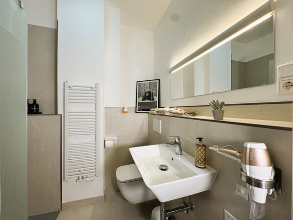 Douche, sèche-cheveux, serviettes fournies, papier toilette