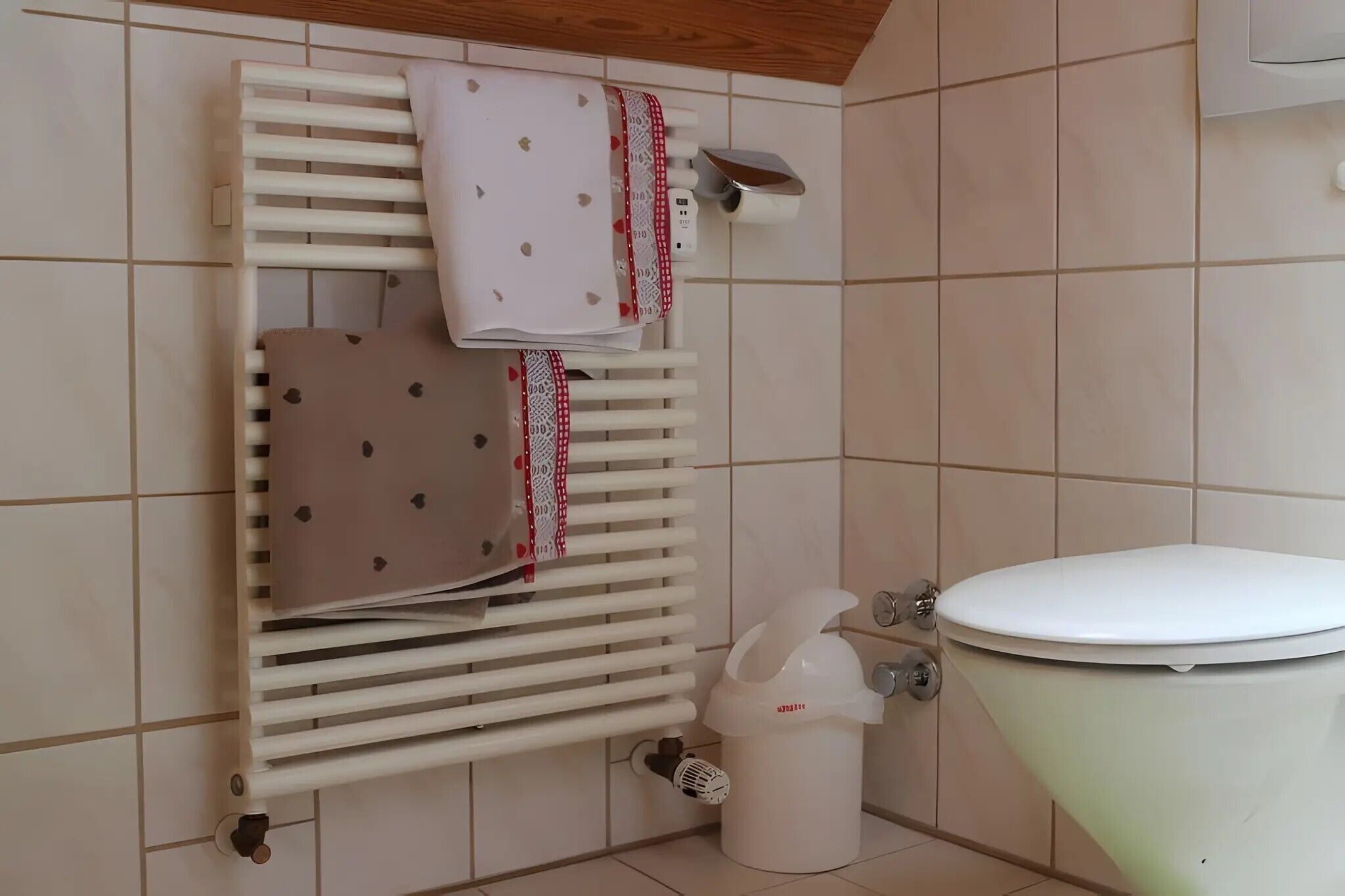 Un baño con inodoro, radiador y cubo de basura.