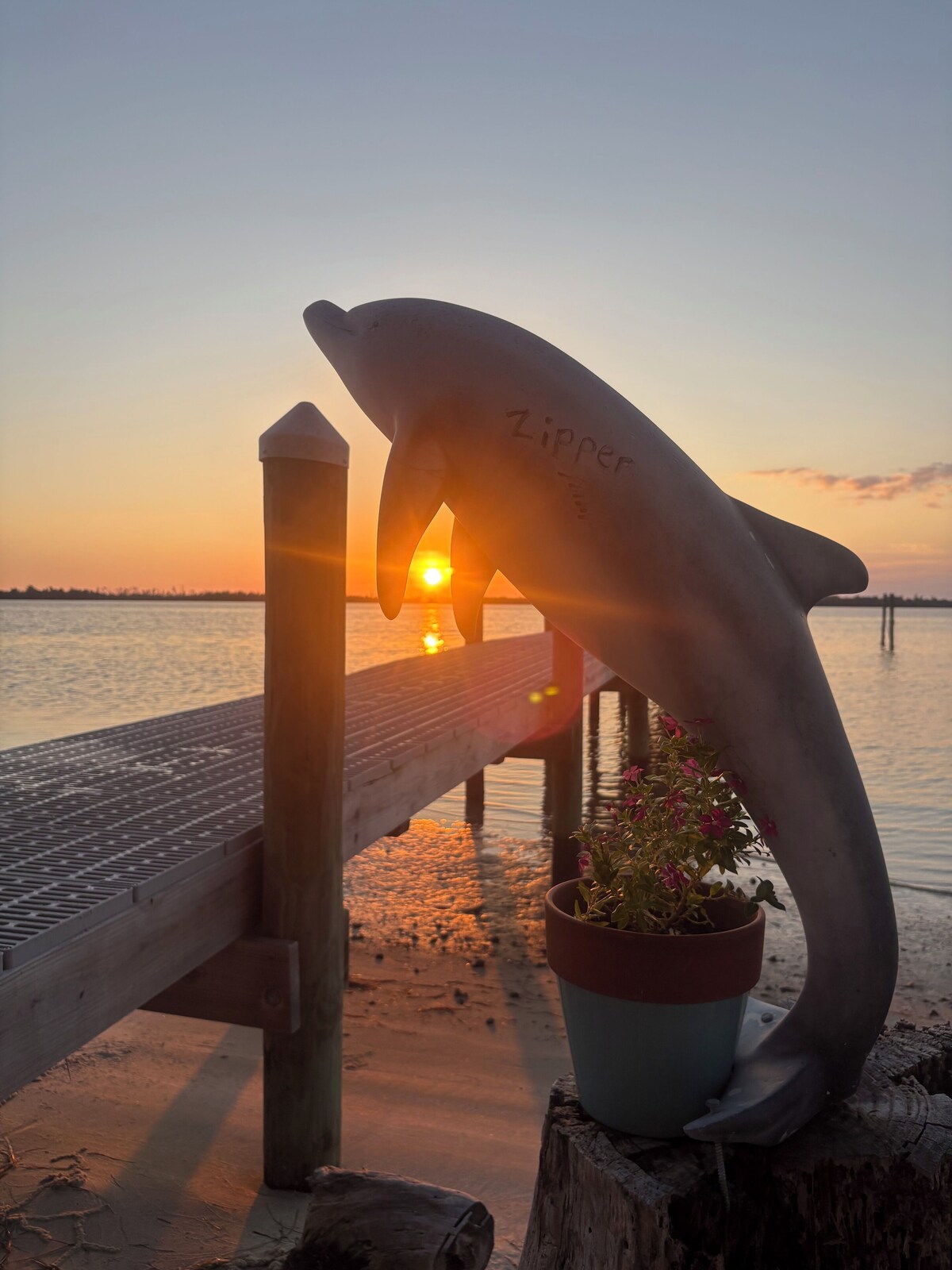 Imagen de perfil del propietario o de la propietaria