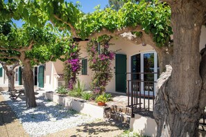 Exterior detail - Cabernet - Domaine de la Navicelle (Le Pradet)