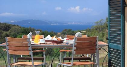 Syrah - Domaine de la Navicelle