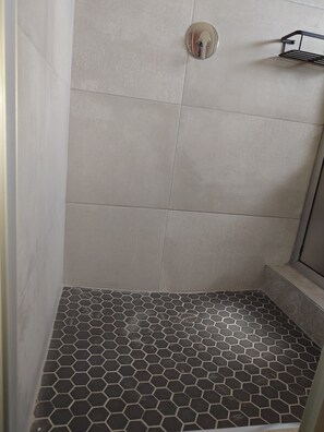 Shower, towels, toilet paper